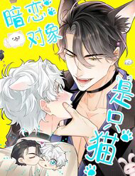 crush-cua-toi-la-meo-thumb