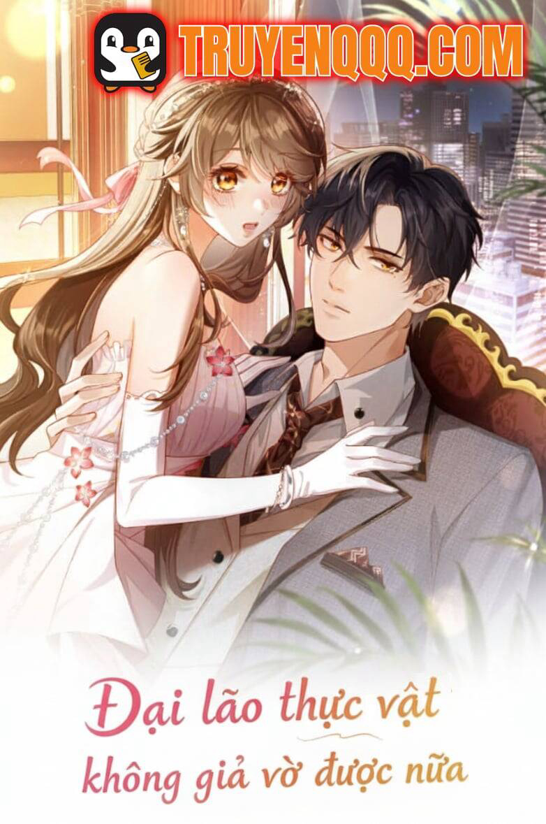 dai-lao-thuc-vat-khong-gia-vo-duoc-nua-thumb